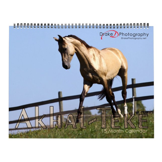 Akhal-Teke Horses 2011 Kalender (Omslag)