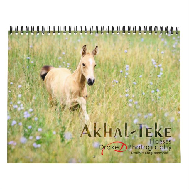 Akhal-Teke Horses 2 Kalender (Omslag)