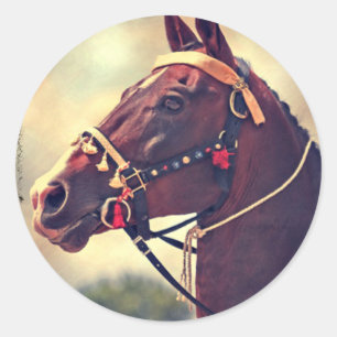 Akhal Teke Runt Klistermärke