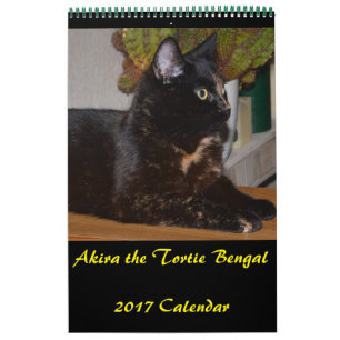 Akira the Tortie Bengal 2017 Medium Calendar Kalender