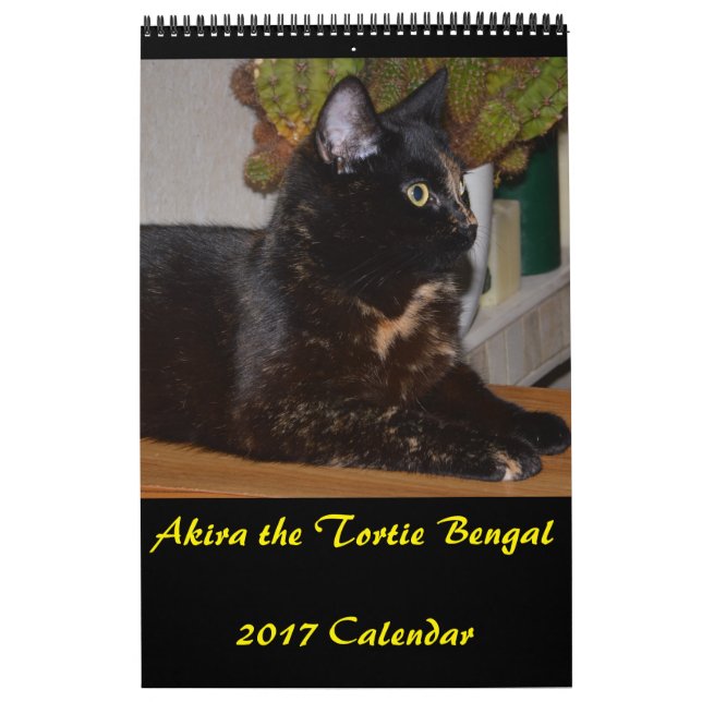 Akira the Tortie Bengal 2017 Medium Calendar Kalender (Omslag)