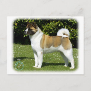 Akita 9R047D-143 Vykort