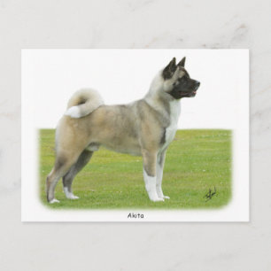 Akita 9R071D-147 Vykort