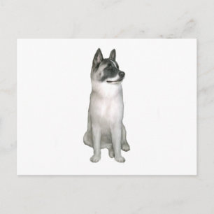Akita (A) - (svart mask) Vykort