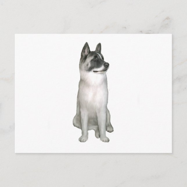 Akita (A) - (svart mask) Vykort (Framsida)