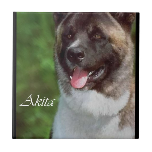 Akita Art Kakelplatta (Framsidan)