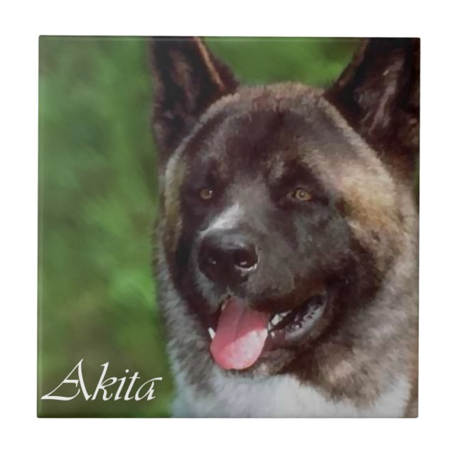 Akita Art Kakelplatta (Framsidan)
