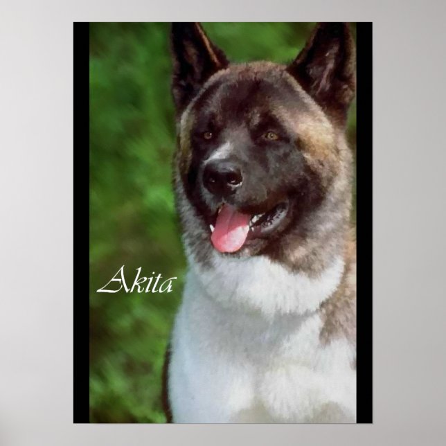 Akita Art-utskrifter Poster (Framsidan)