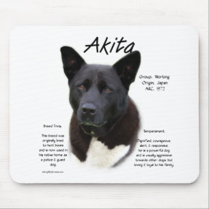 Akita (blk) historiedesign musmatta