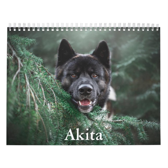 Akita Calendar Kalender (Omslag)