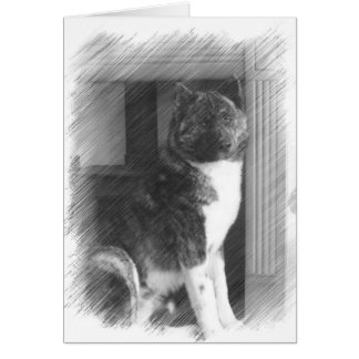 Akita Cards Hälsningskort