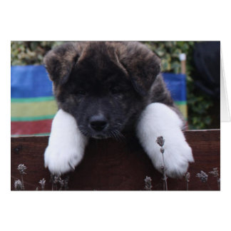 Akita Cards Hälsningskort