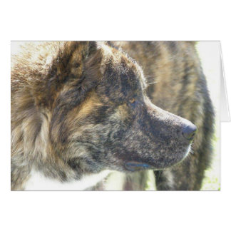 Akita Cards Hälsningskort