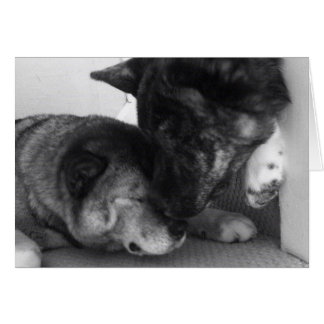 Akita Cards Hälsningskort