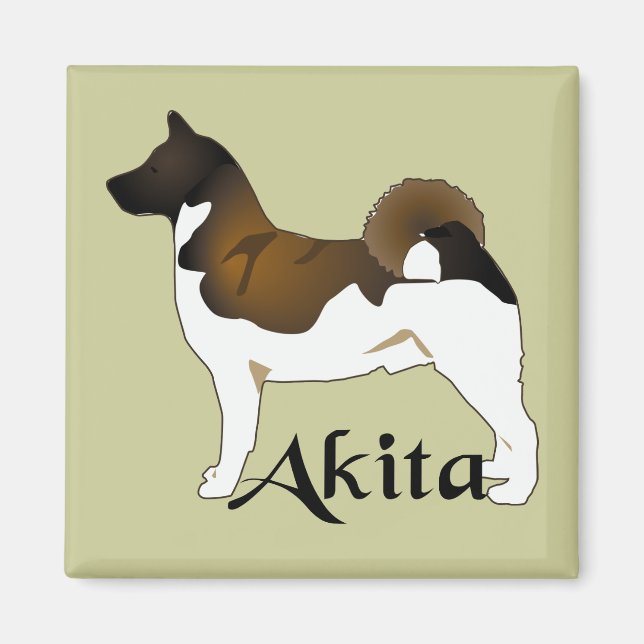 Akita, detaljerad magnet (Framsidan)