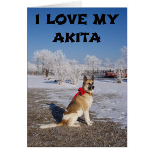 akita fawn svart överlägg  i snö kärlek med bild hälsningskort