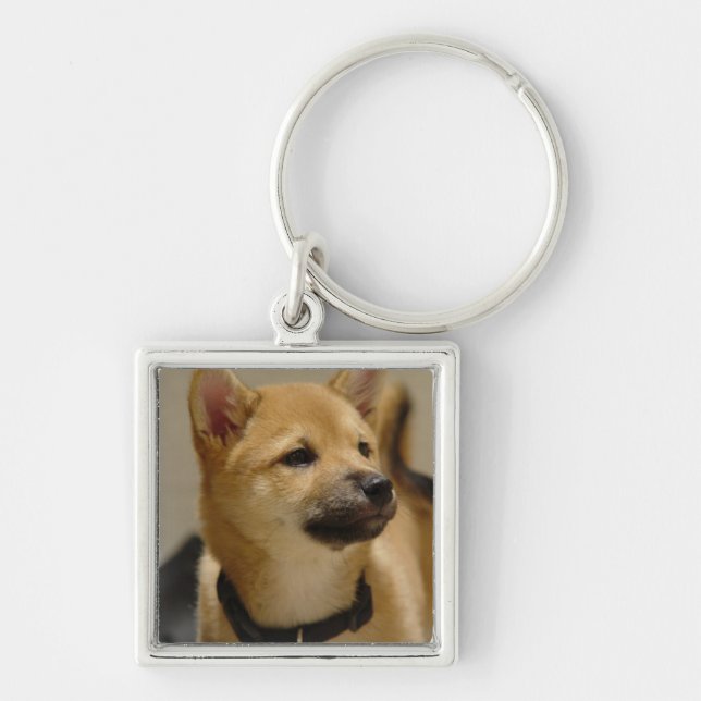 Akita föreställer Keychain Fyrkantig Silverfärgad Nyckelring (Framsidan)