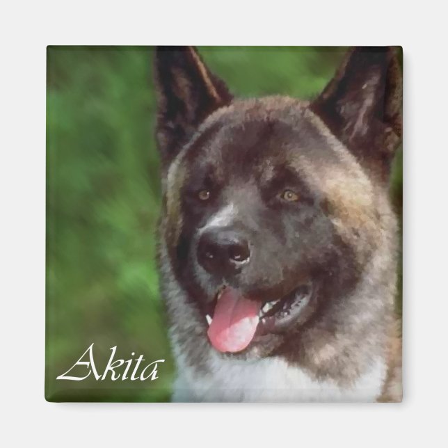 Akita Gifts Magnet (Framsidan)