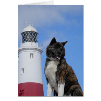 Akita Hälsningskort