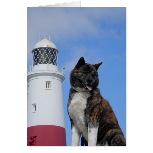 Akita Hälsningskort (Framsidan)