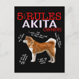 Akita Hund 5 Regler Akita Hund Ägare Meddelande Vykort