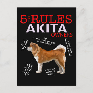 Akita Hund | 5 Regler Akita Hund Ägare Meddelande Vykort