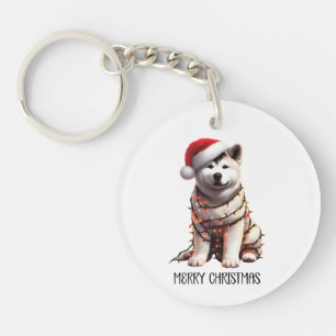 Akita Hund insvepte i julljus