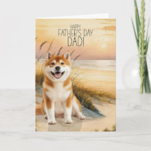 Akita Hund Solnedgång Strand Fars Dag