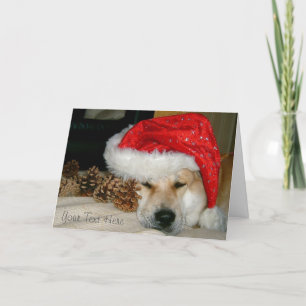 akita i den röda santa hatten och kottar för jul helgkort