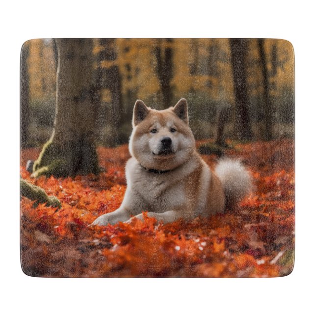Akita i Höst löv Fall Inspired (Framsidan)
