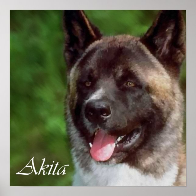 Akita konsttryck gåvor poster (Framsidan)