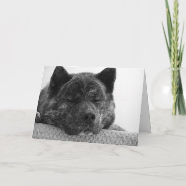 Akita Kort (Framsida)