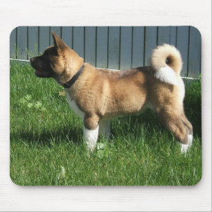 Akita mousepad musmatta