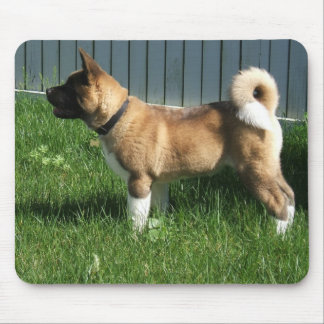 Akita mousepad musmatta