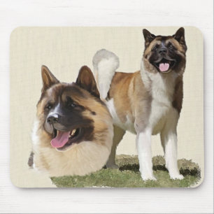 Akita Musmatta