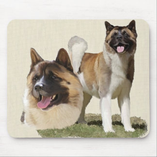 Akita Musmatta
