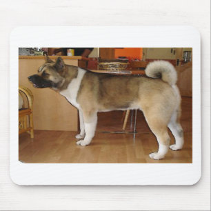 Akita Musmatta