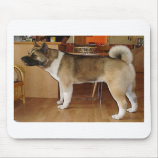 Akita Musmatta
