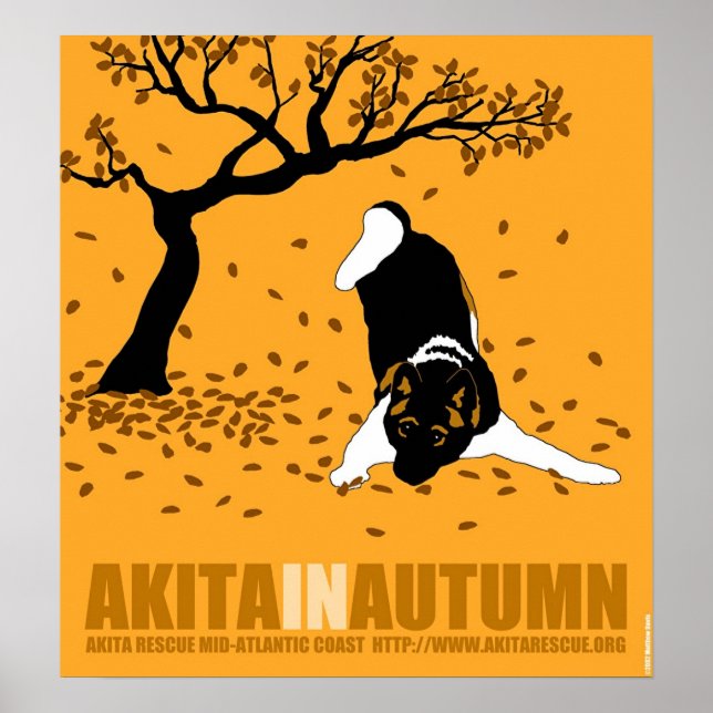 Akita på hösten (18 tum x 19,5 tum) poster (Framsidan)