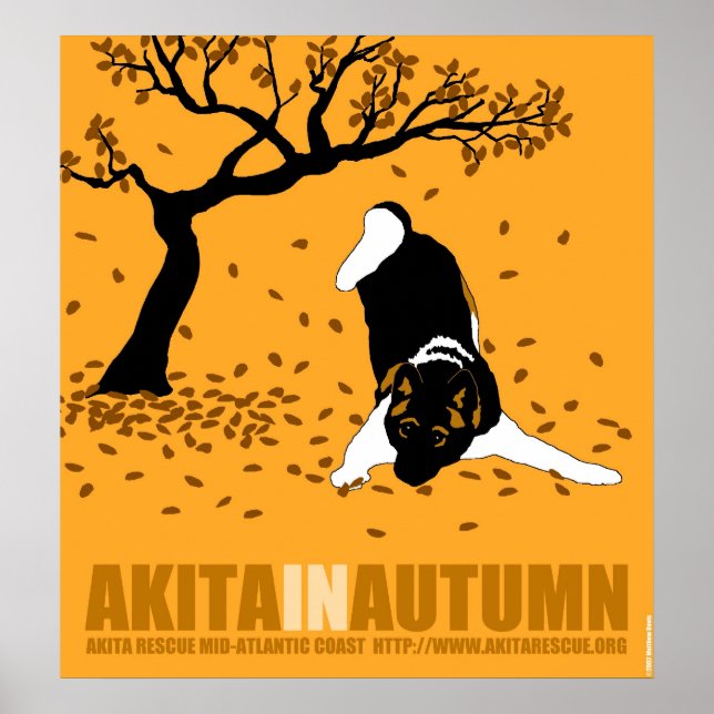 Akita på hösten (32 tum x 34,5 tum) poster (Framsidan)