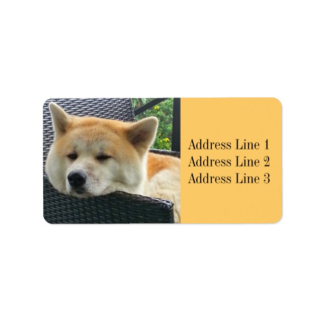 Akita Photo Address Label Adressetikett (Framsidan)