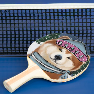 AKITA PINGISRACKET