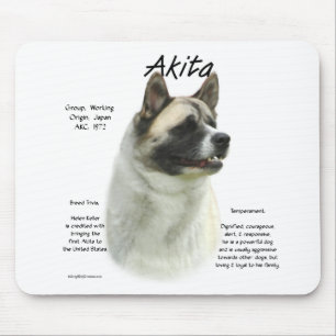 Akita (pinto) historiedesign musmatta