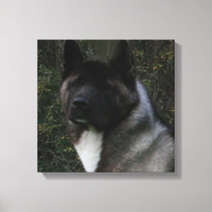 akita pinto svart mask canvastryck
