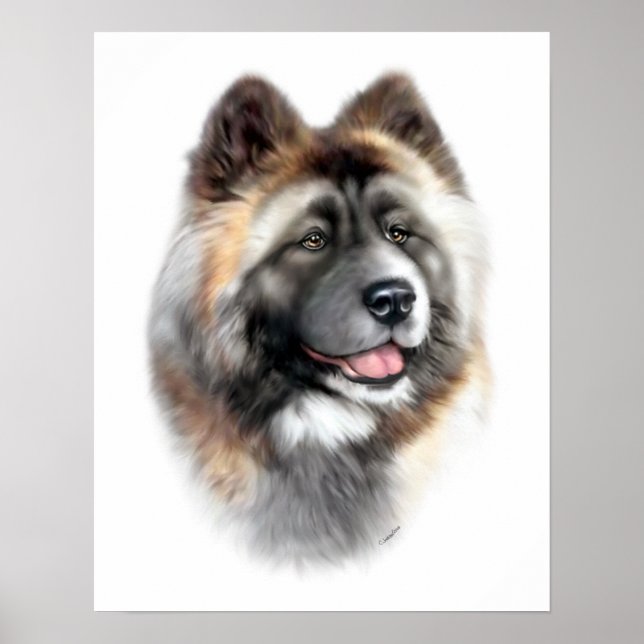 Akita Poster (Framsidan)