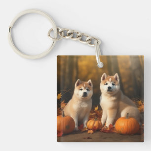 Akita Puppy Autumn Delight Pumpkin