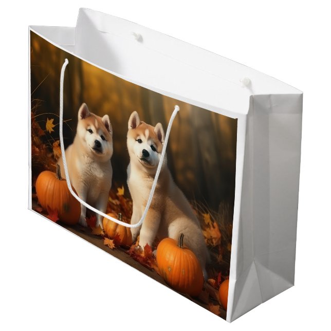 Akita Puppy Autumn Delight Pumpkin (Framsidan Vinklad)