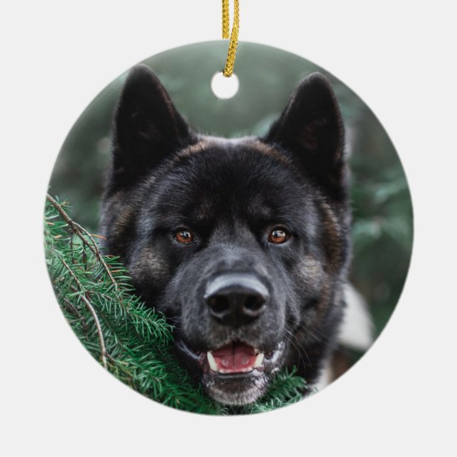 Akita Puppy Hund i A Gräs-juljullen Julgransprydnad Keramik (Framsidan)