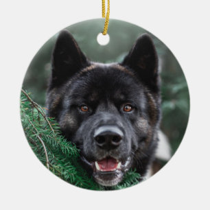 Akita Puppy Hund i en Gräs-skog Julgransprydnad Keramik