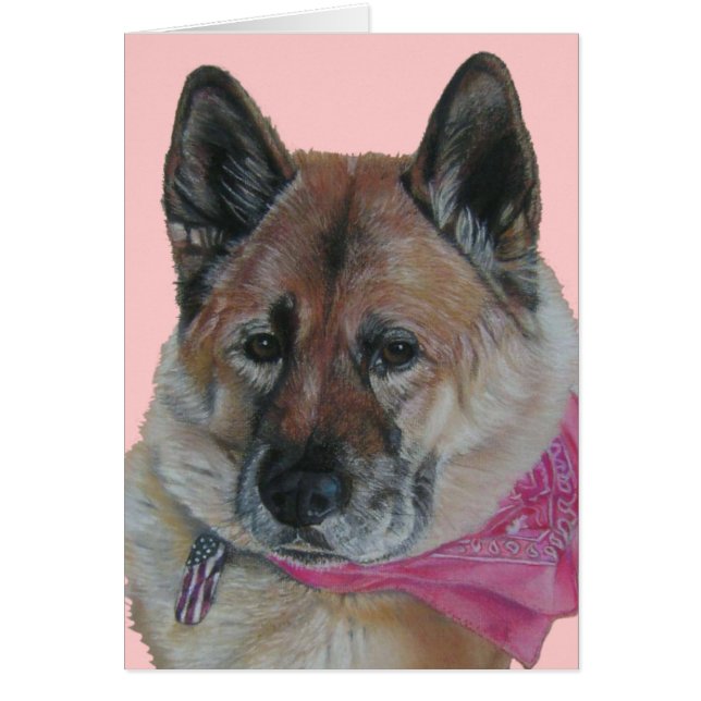 akita rosa scarf USA flagga märkre hund porträtt b Hälsningskort (Framsidan)